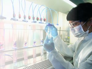 Protecting Pharmaceutical & Medical Device Intellectual Property 2017